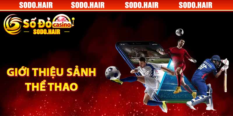 Giới Thiệu Sảnh Thể Thao