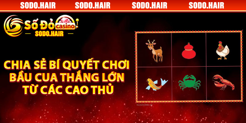 Chia Sẻ Bí Quyết Chơi Bầu Cua Thắng Lớn Từ Các Cao Thủ