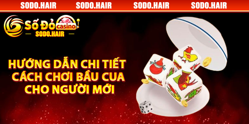 Hướng Dẫn Chi Tiết Cách Chơi Bầu Cua Cho Người Mới