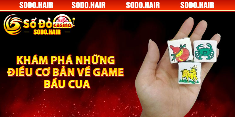 Khám Phá Những Điều Cơ Bản Về Game Bầu Cua