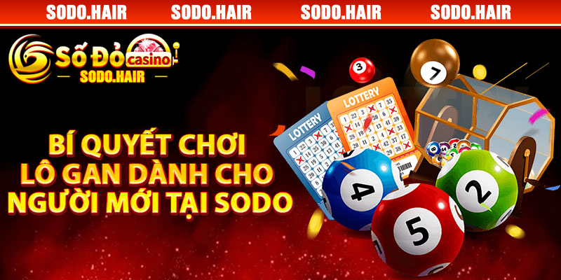Bí Quyết Chơi Lô Gan Dành Cho Người Mới Tại Sodo