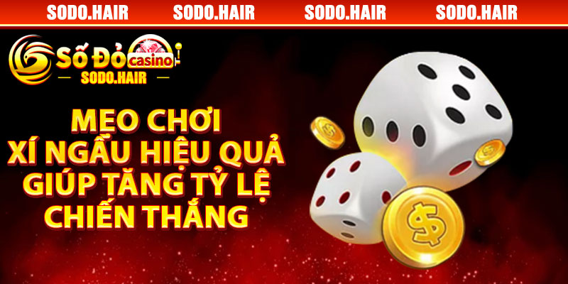 Mẹo Chơi Xí Ngầu Hiệu Quả Giúp Tăng Tỷ Lệ Chiến Thắng