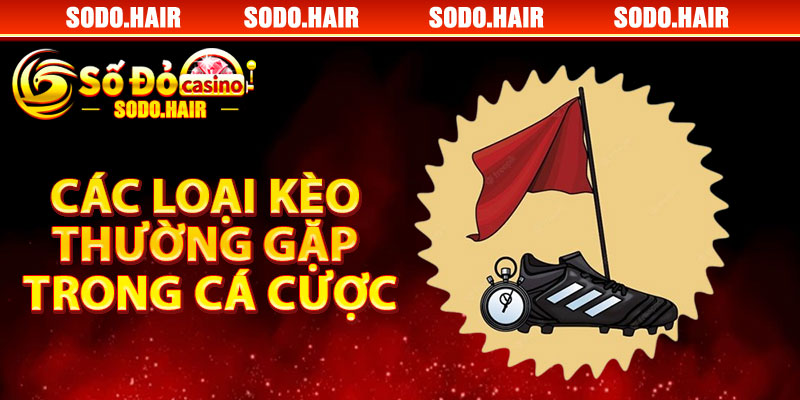 Các Loại Kèo Thường Gặp Trong Cá Cược